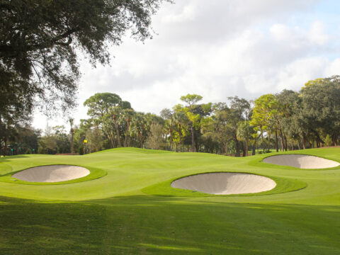 Hole No. 10 Adios Golf Club