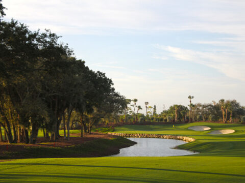 Hole No. 1 Adios Golf Club