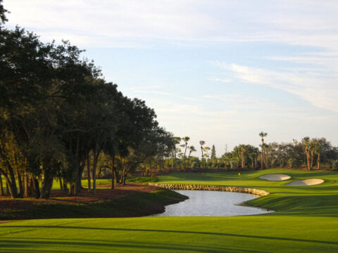 Adios Golf Club