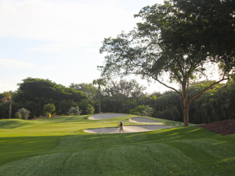 Hole No. 2 Adios Golf Club