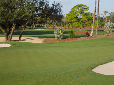 Hole No. 4 Adios Golf Club