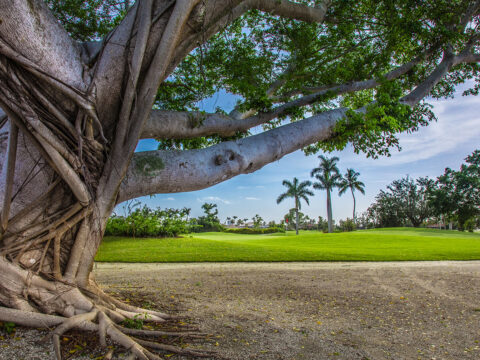 Island Country Club Island Country Club
