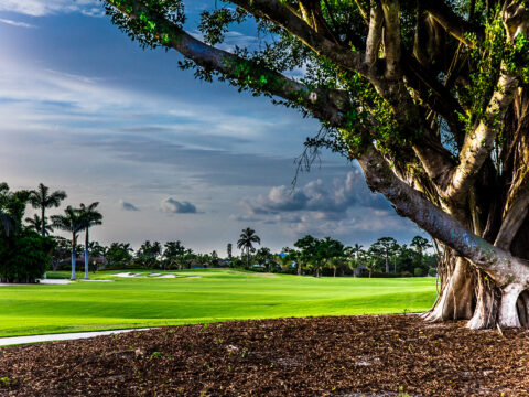 Island Country Club Island Country Club