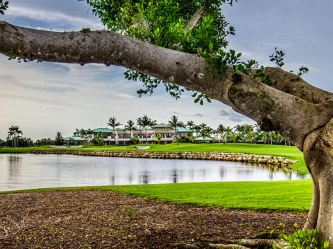 Island Country Club