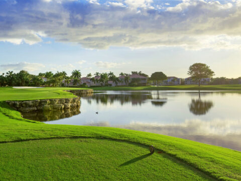 Gulf Harbour Yacht & Country Club