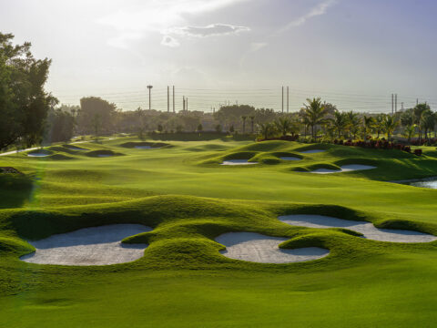 Hole No. 15 Wycliffe Golf & Country Club (East)