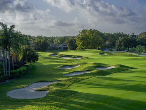 Hole No. 9 Wycliffe Golf & Country Club (East)